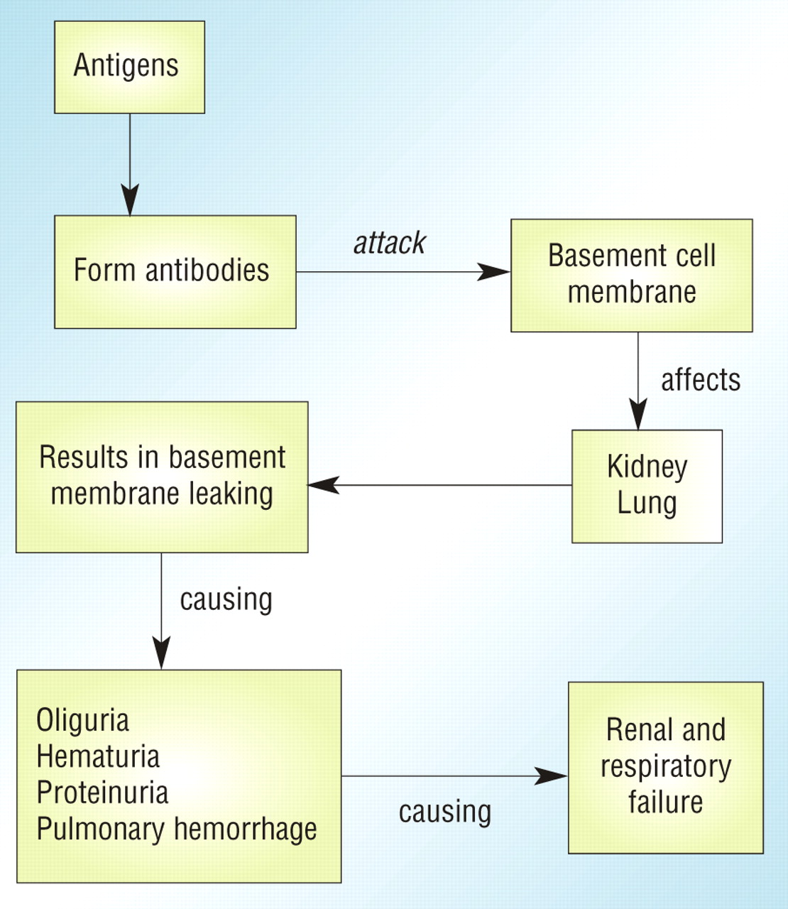 Goodpasture Syndrome Stepwards