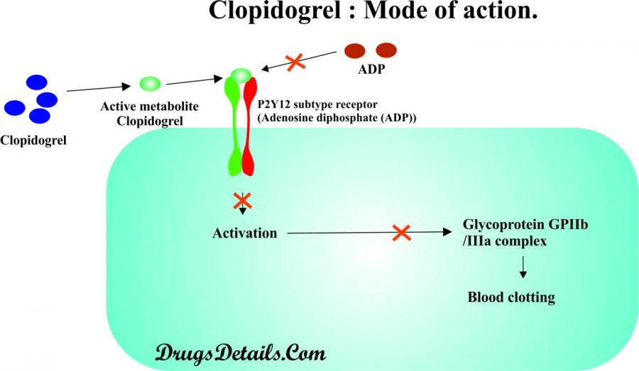 Clopidogrel - Stepwards