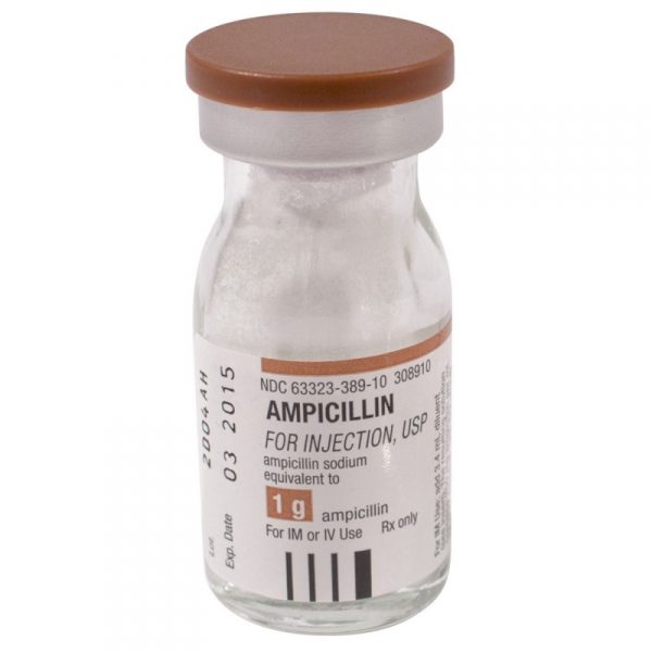 Ampicillin - Stepwards