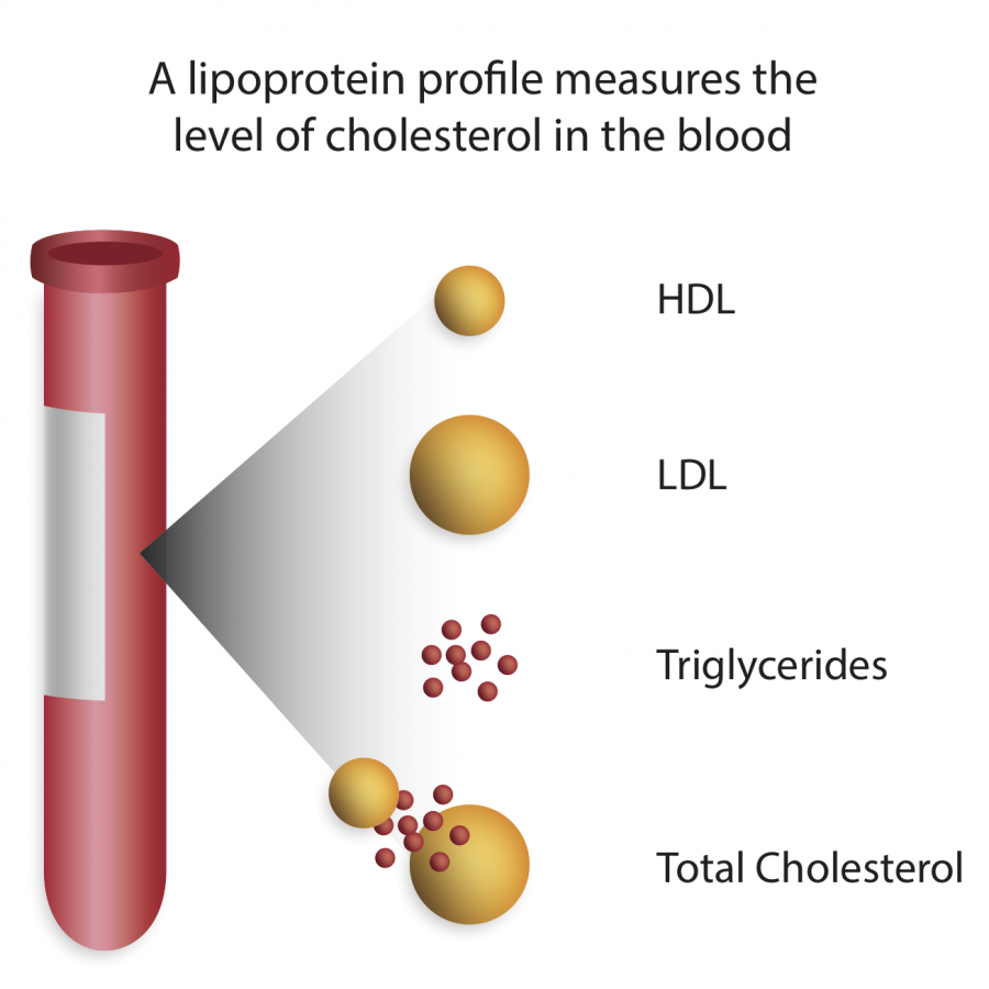 cholesterol-in-medicine-stepwards