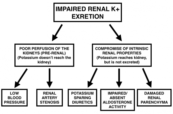 A Guide To Hyperkalemia - Stepwards