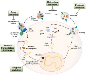 Antiviral Medications - Stepwards